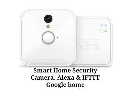 blink compatible with google home