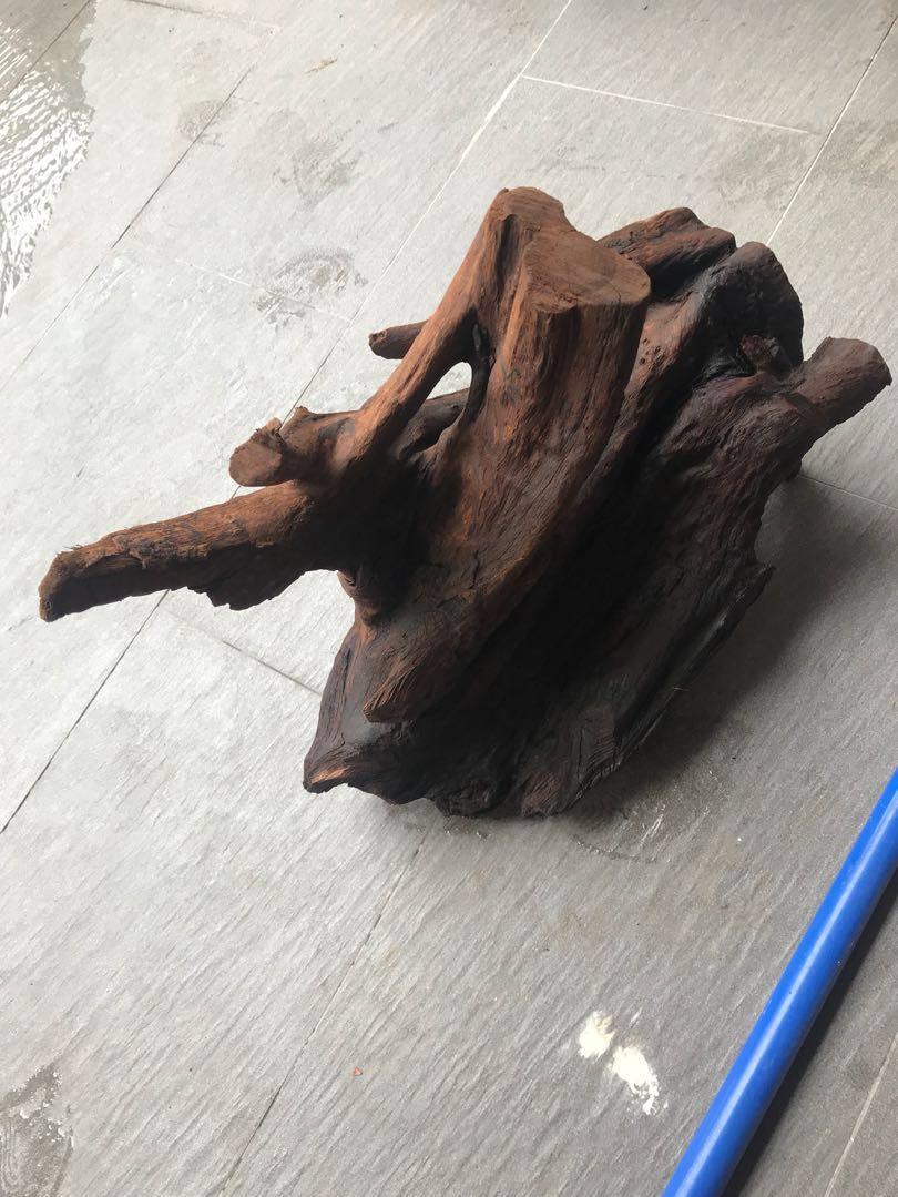 Kayu Hiasan Aquarium Pet Supplies Pet Accessories On Carousell
