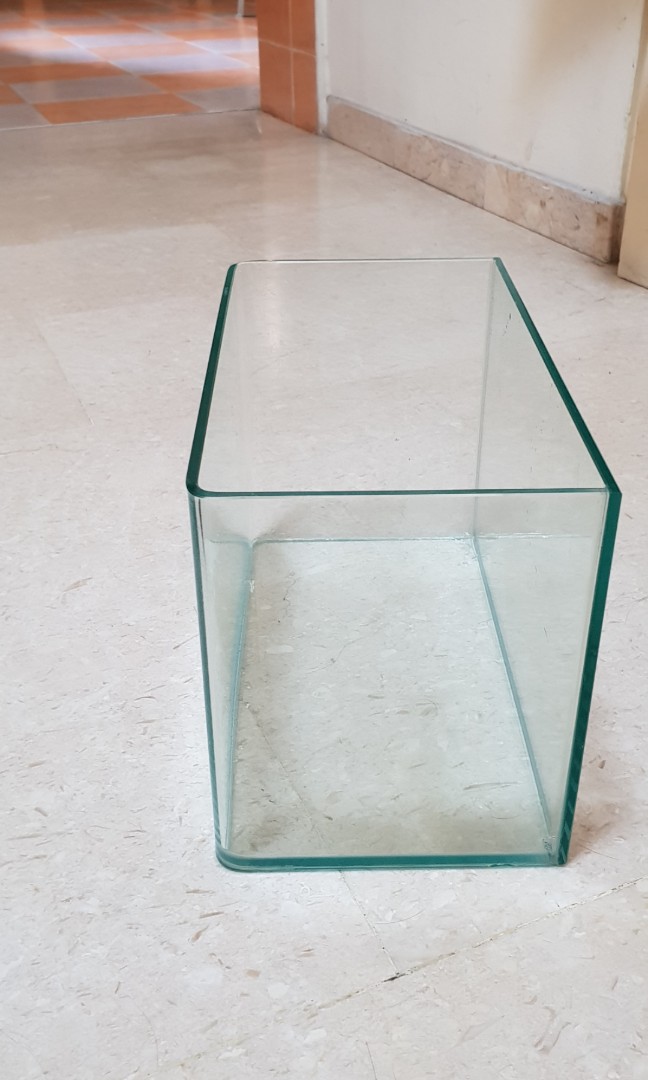 glass tank, pet supplies, for fish, fish tanks 在carousell