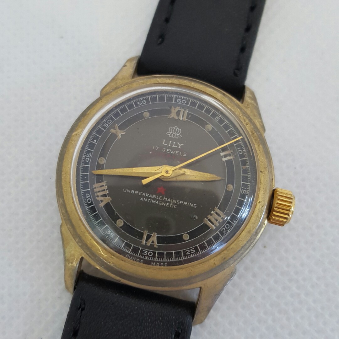 Unbreakable Mainspring Automatic Watch Spring Lily Unbreakable