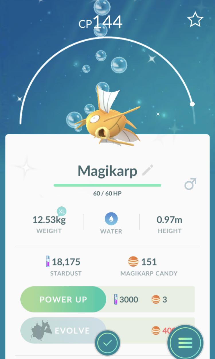 Pokemon Go Shiny Magikarp Toys Games Video Gaming Video Games On Carousell
