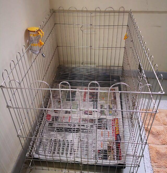 preloved dog crate