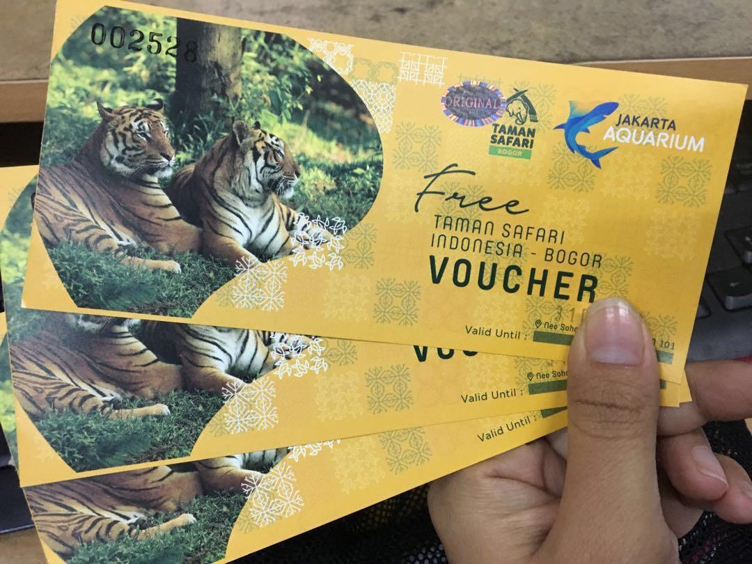 Red Panda Loc Taman Safari Indonesia Cisarua Bogor