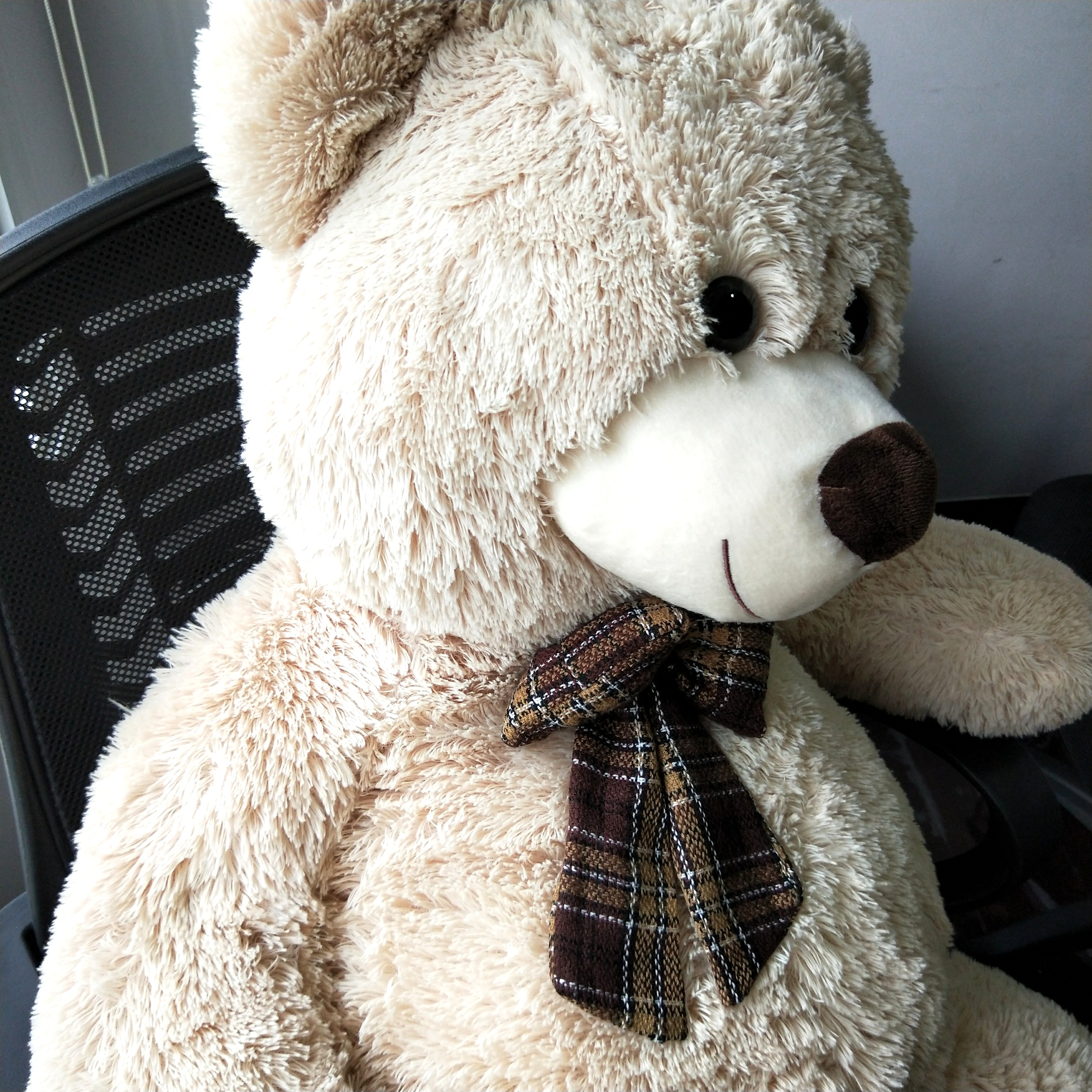 12 ft teddy bear