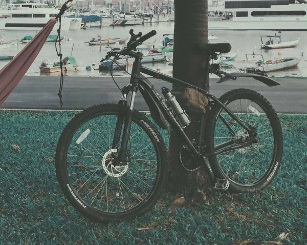 merida single speed