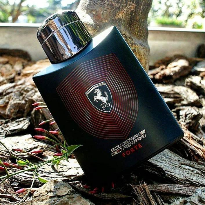 scuderia ferrari forte eau de parfum