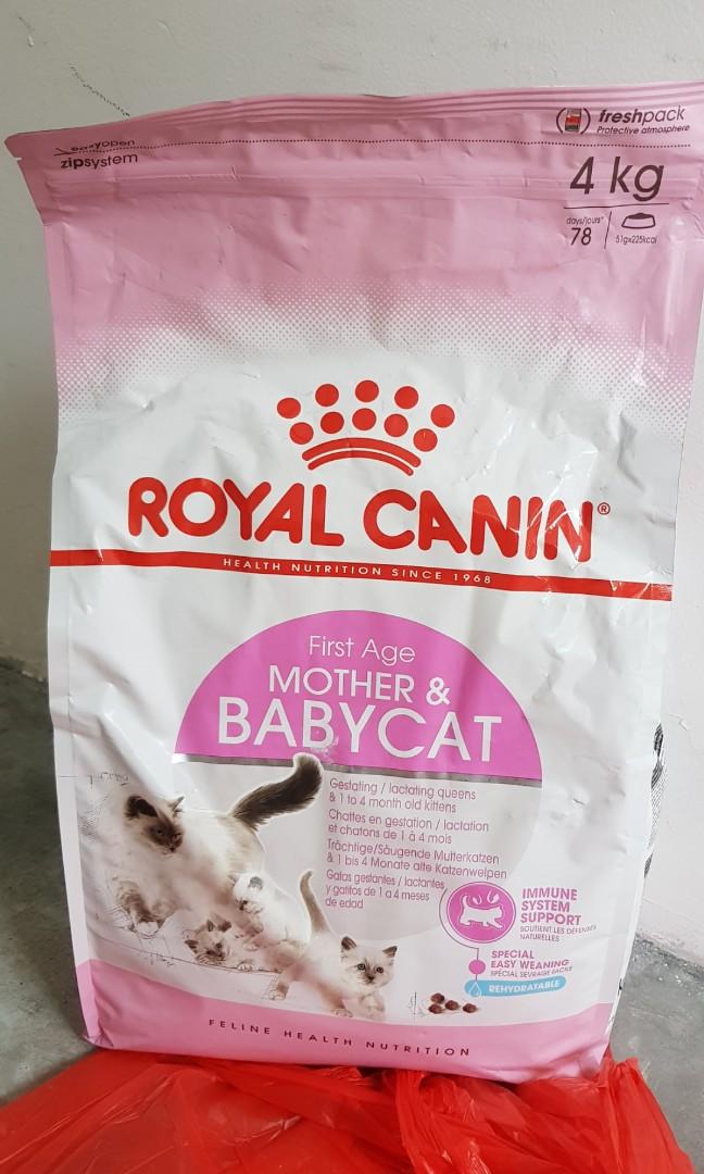 Royal Canin Mother N Babycat Pet Supplies For Cats Cat Food On Carousell