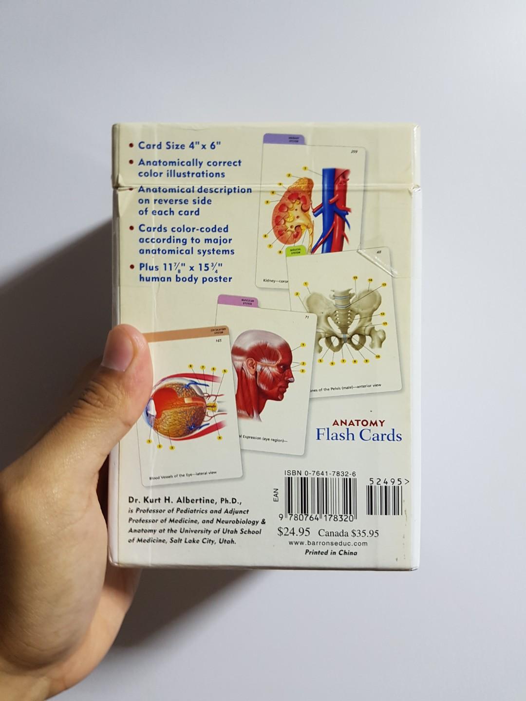 Barron's Anatomy Flash Cards, Hobbies & Toys, Books & Magazines