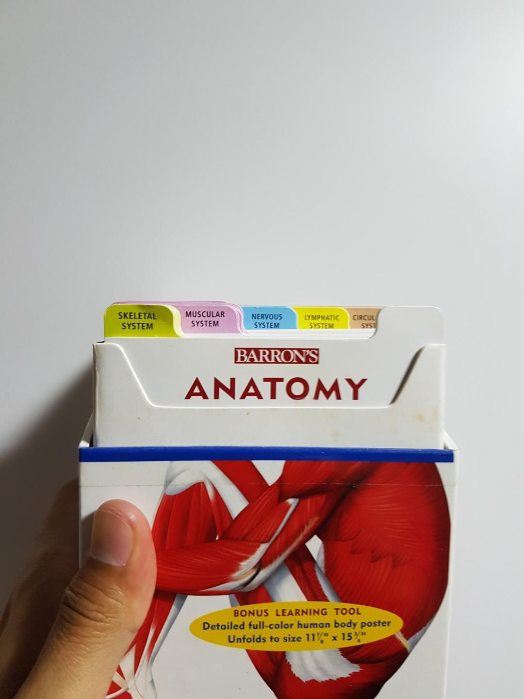Barron's Anatomy Flash Cards For Sale The WellTrained Mind, 41 OFF