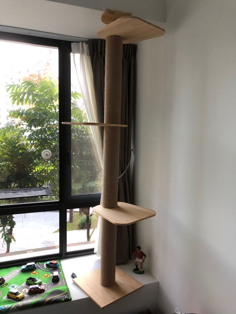 Cat Climbing Pole Floor To Ceiling Type Pet Supplies For Cats