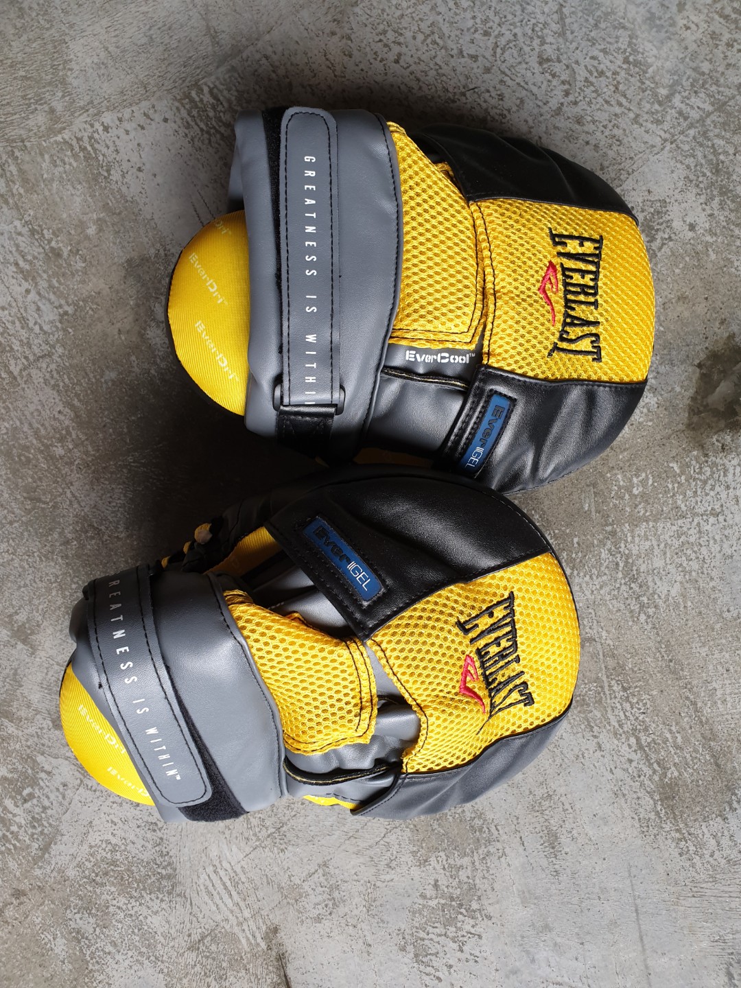 Mantis punch mitts clearance