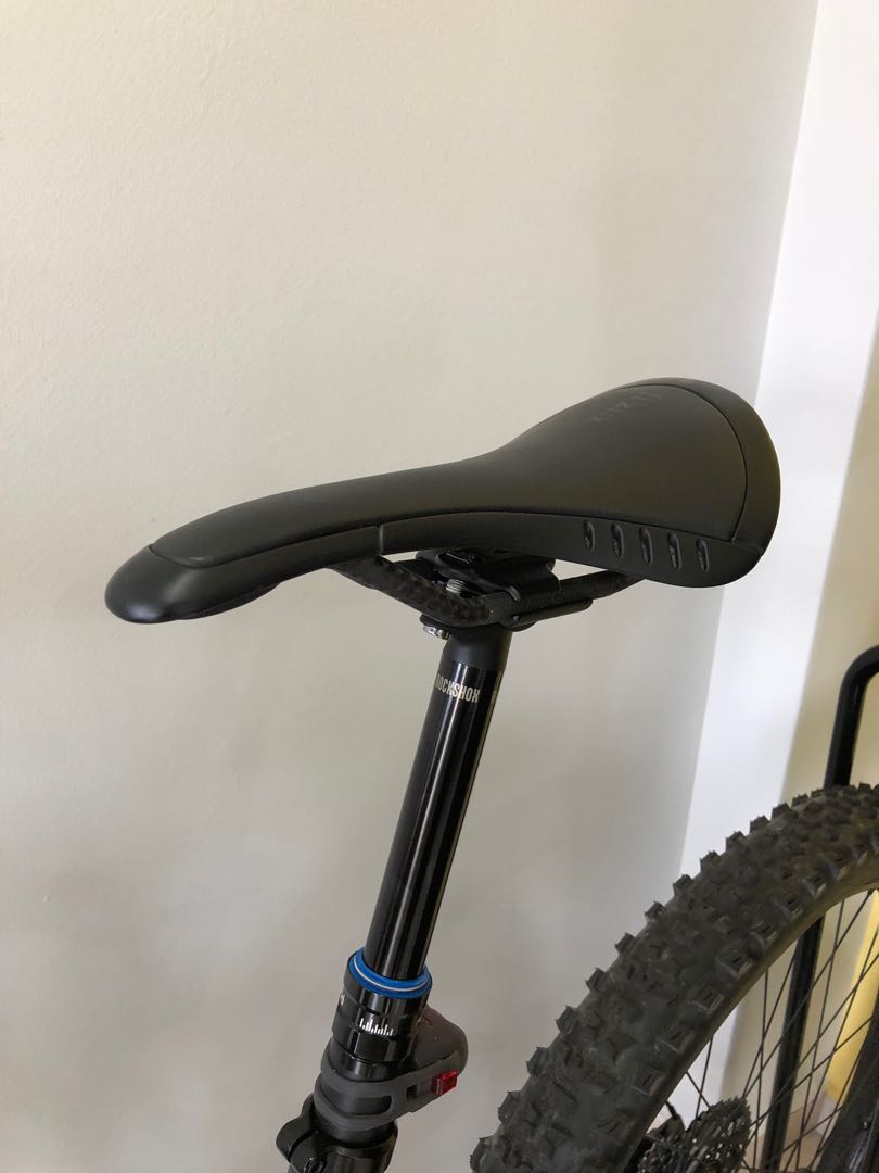 fizik kurve bull