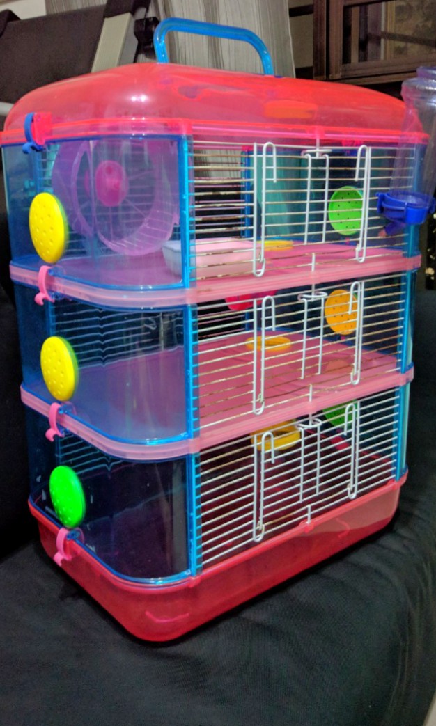 Hamster cage 3 tier clear case Price lowered Pet Supplies Homes Other Pet Accessories on Carousell