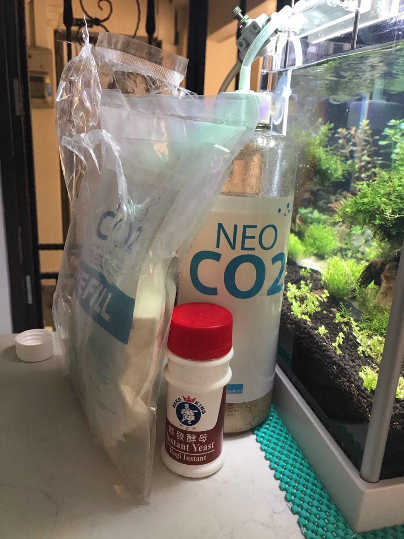 Neo Co2 Diy Kit With Refill Without Diffuser Pet Supplies Homes Other Pet Accessories On Carousell