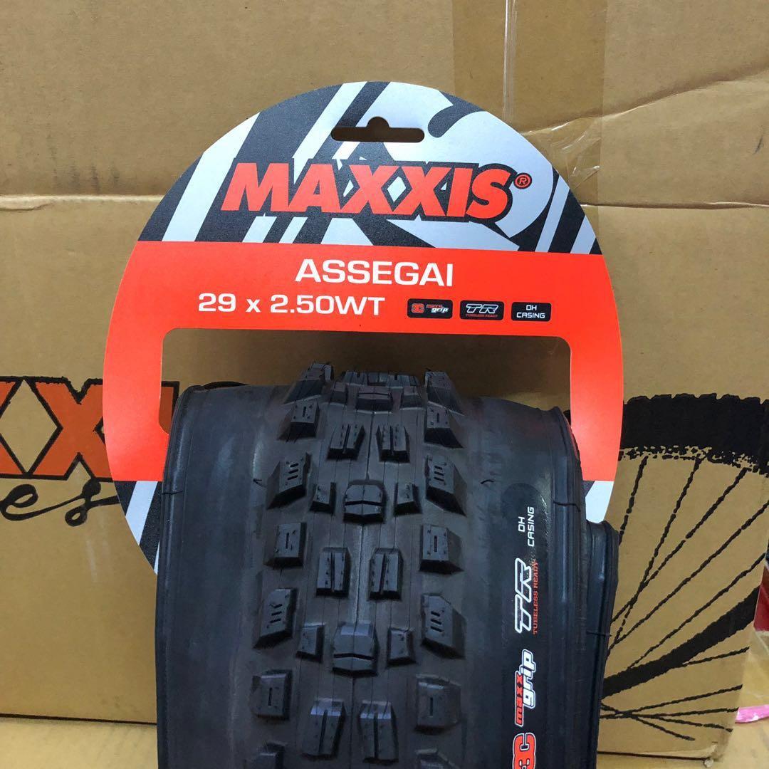 maxxis downhill casing