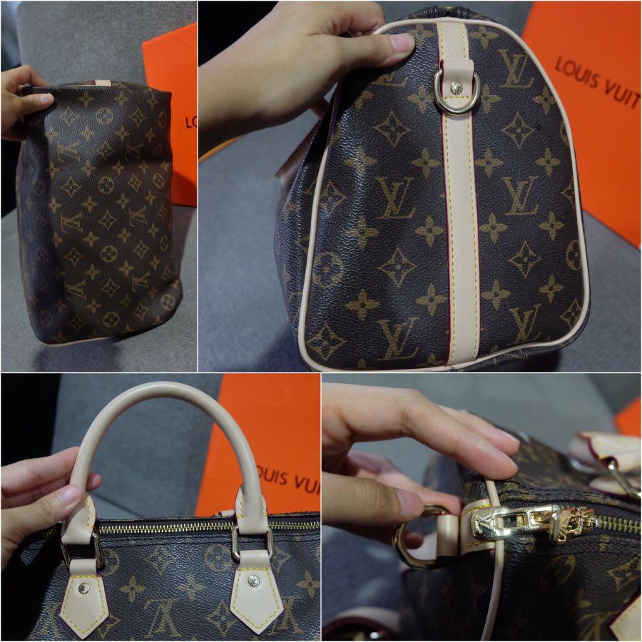 Louis Vuitton lv speedy 30 bandouliere with cats and dogs printing