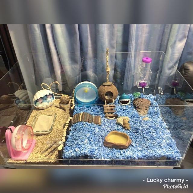 PREORDER Acrylic hamster cage tank Pet Supplies Homes Other