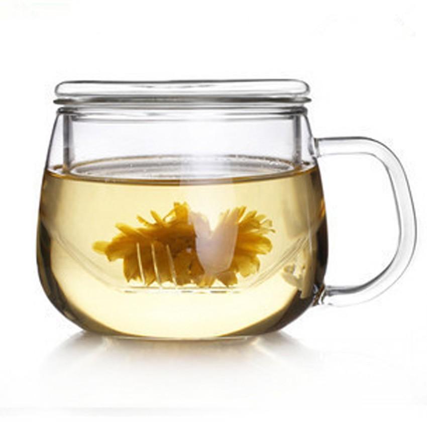 Transparent Glass Tea Cup Coffee Mug Office Drinkware With Cover Filtration Furniture Others On Carousell
