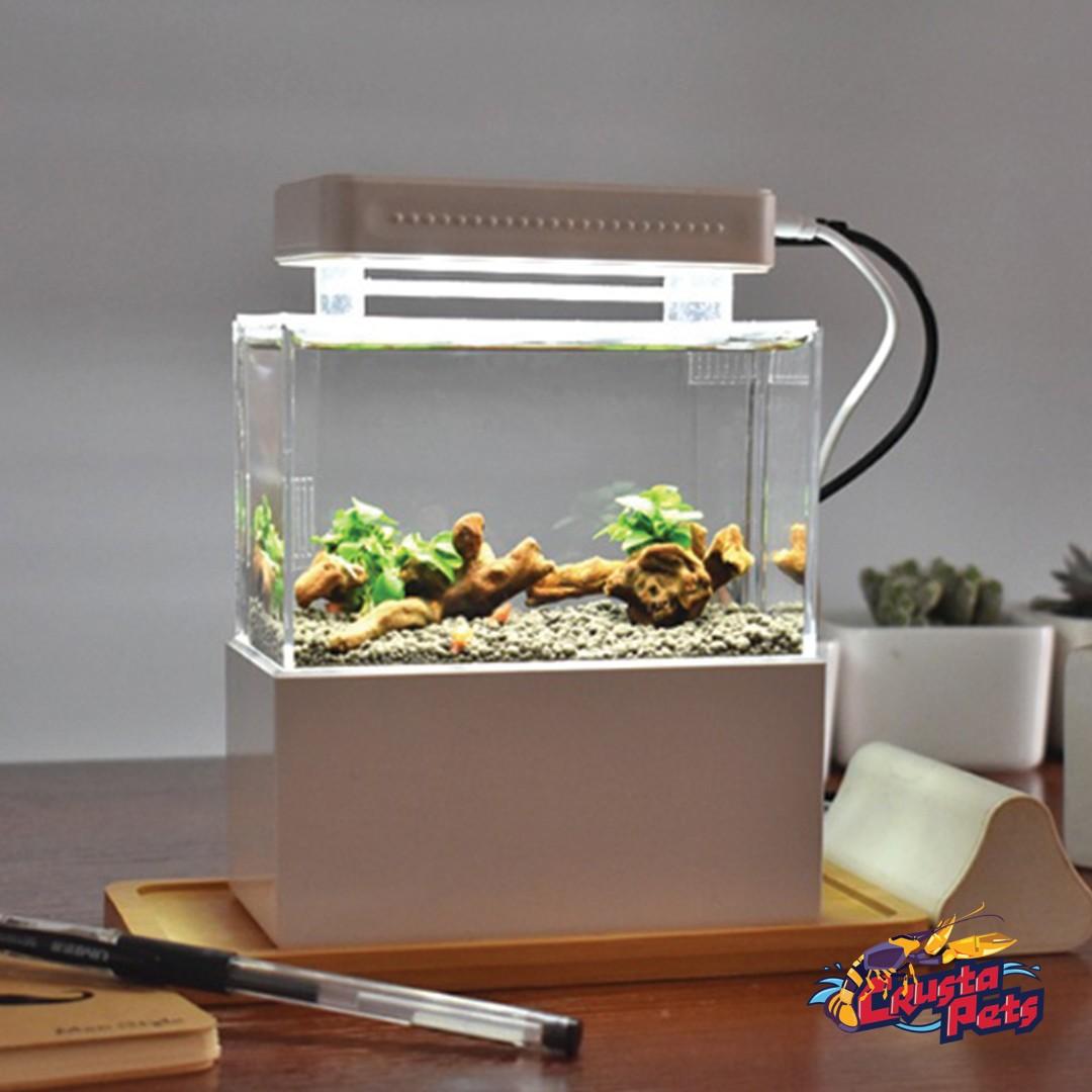 tiny aquarium with sump