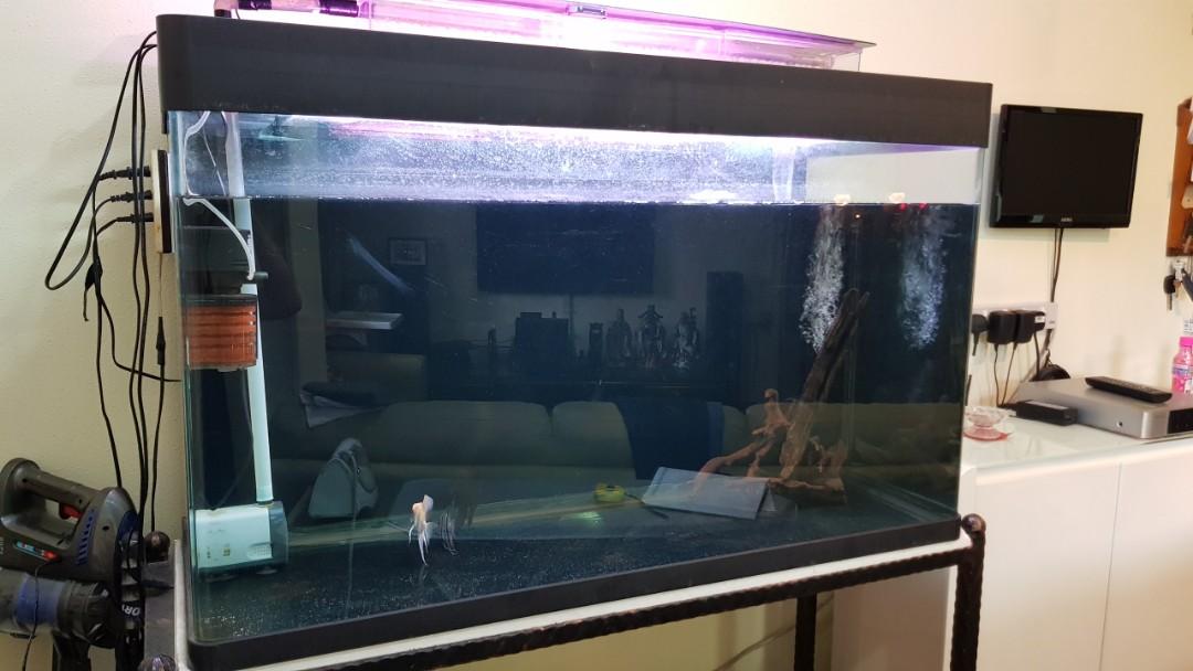 4ft Fish Tank With Wrought Iron Stand Pet Supplies For Fish