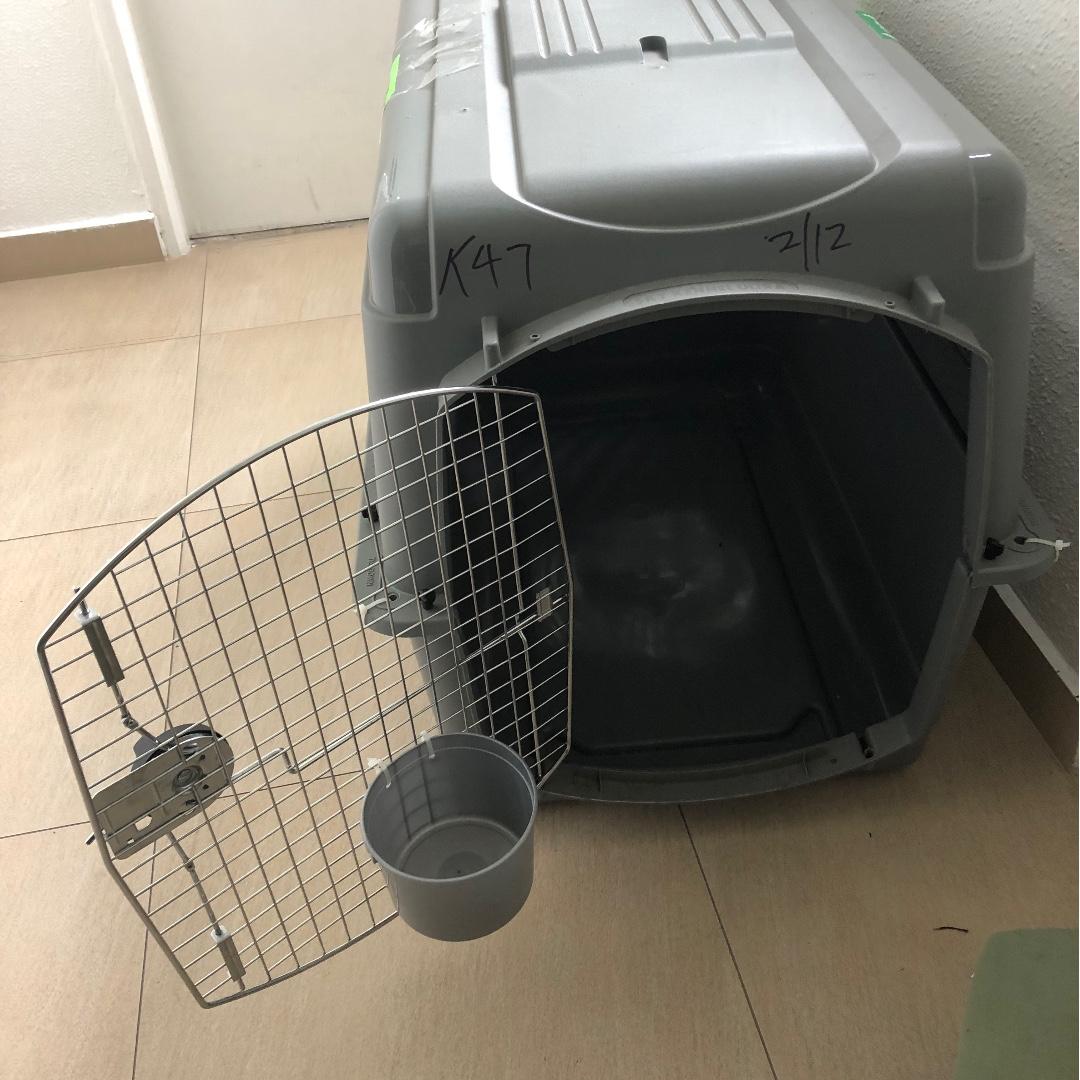 Petmate Sky Kennel air travel crate for dogs (IATA approved, XL), Pet