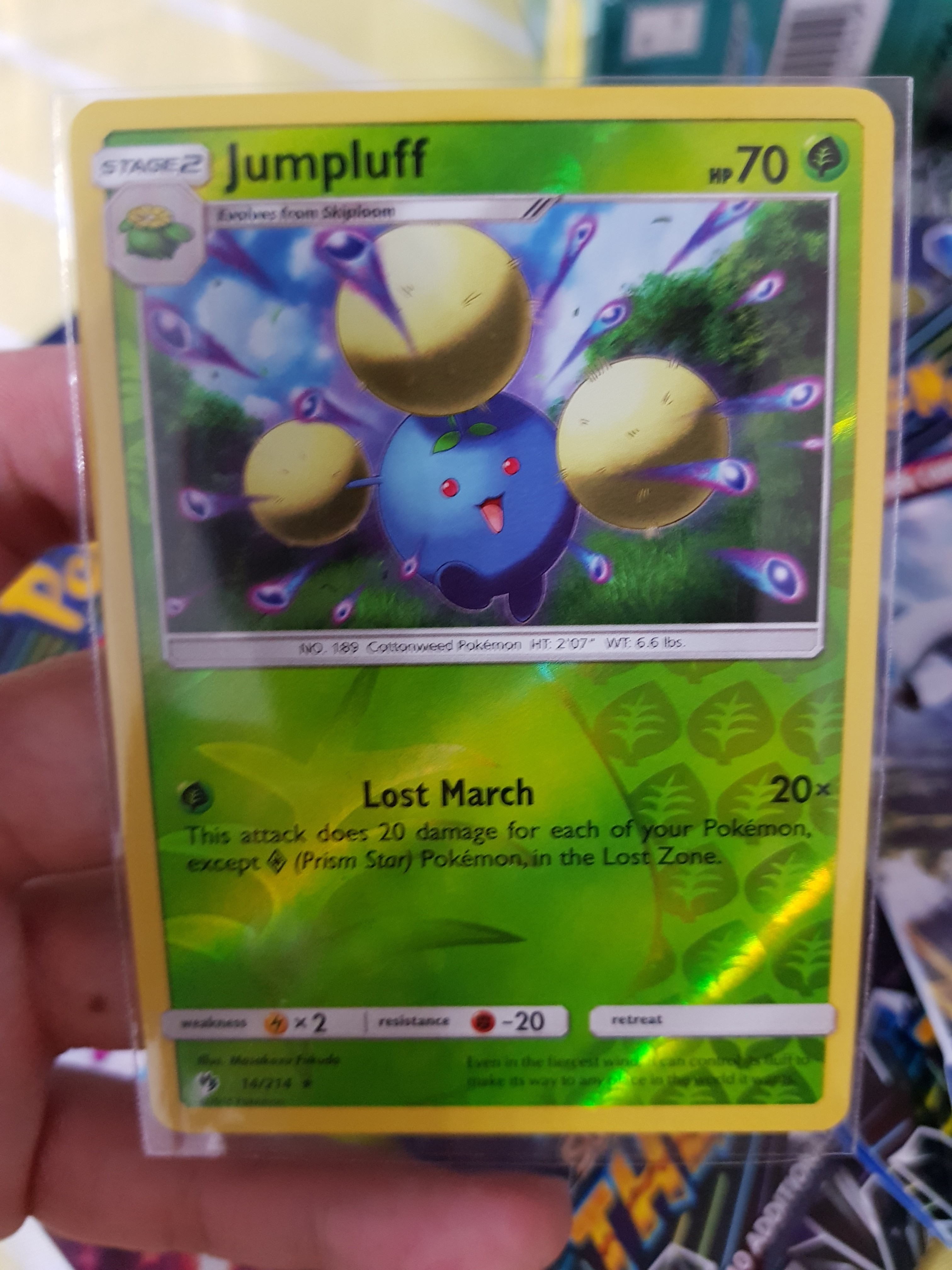 Pokémon Blastoise contre Feraligatr