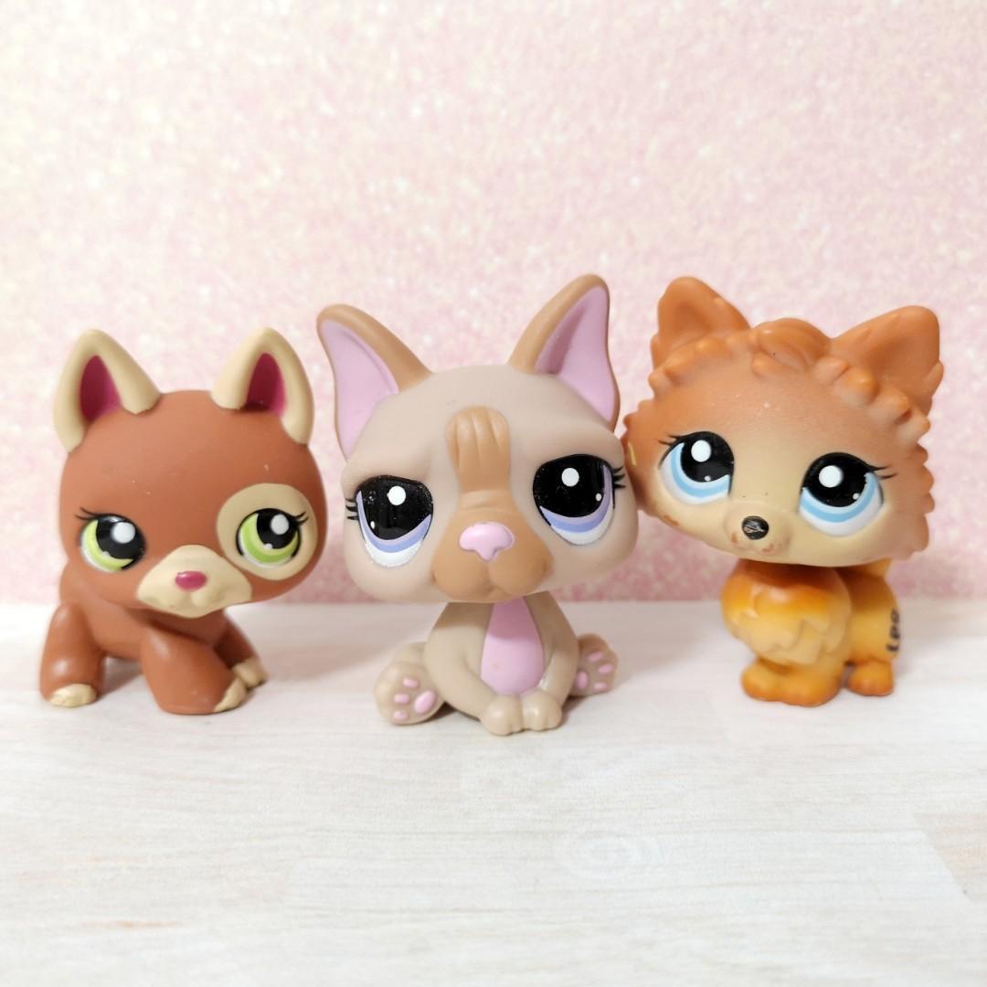 lps pomeranian