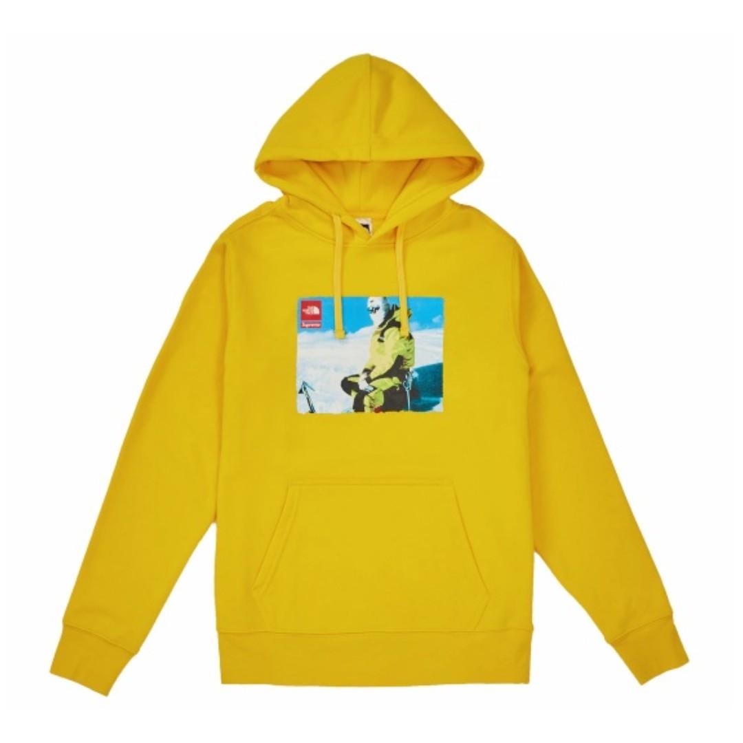 the north face hooded sweatshirt