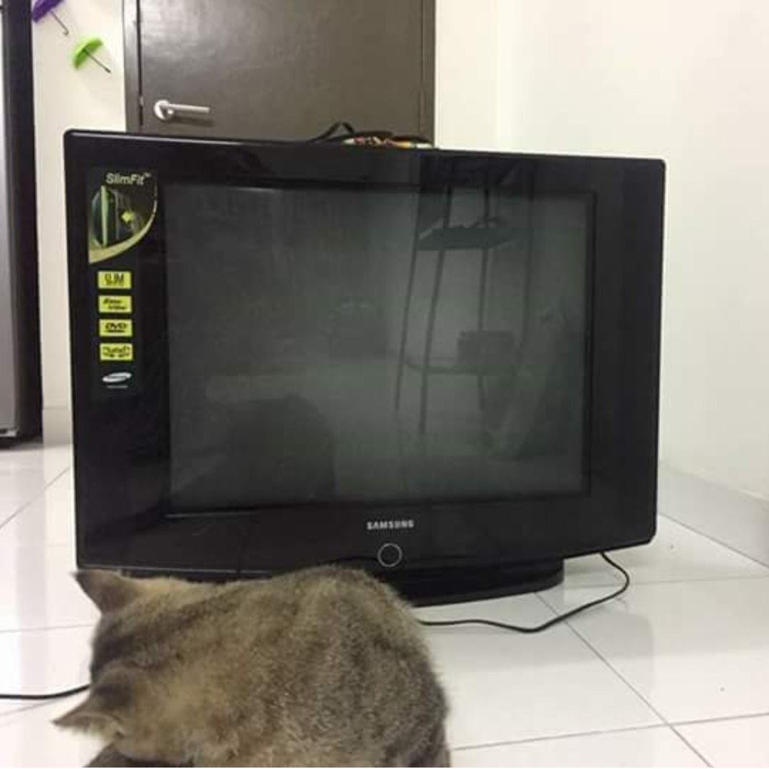 Tv Samsung Box, TV & Home Appliances, TV & Entertainment, TV on Carousell