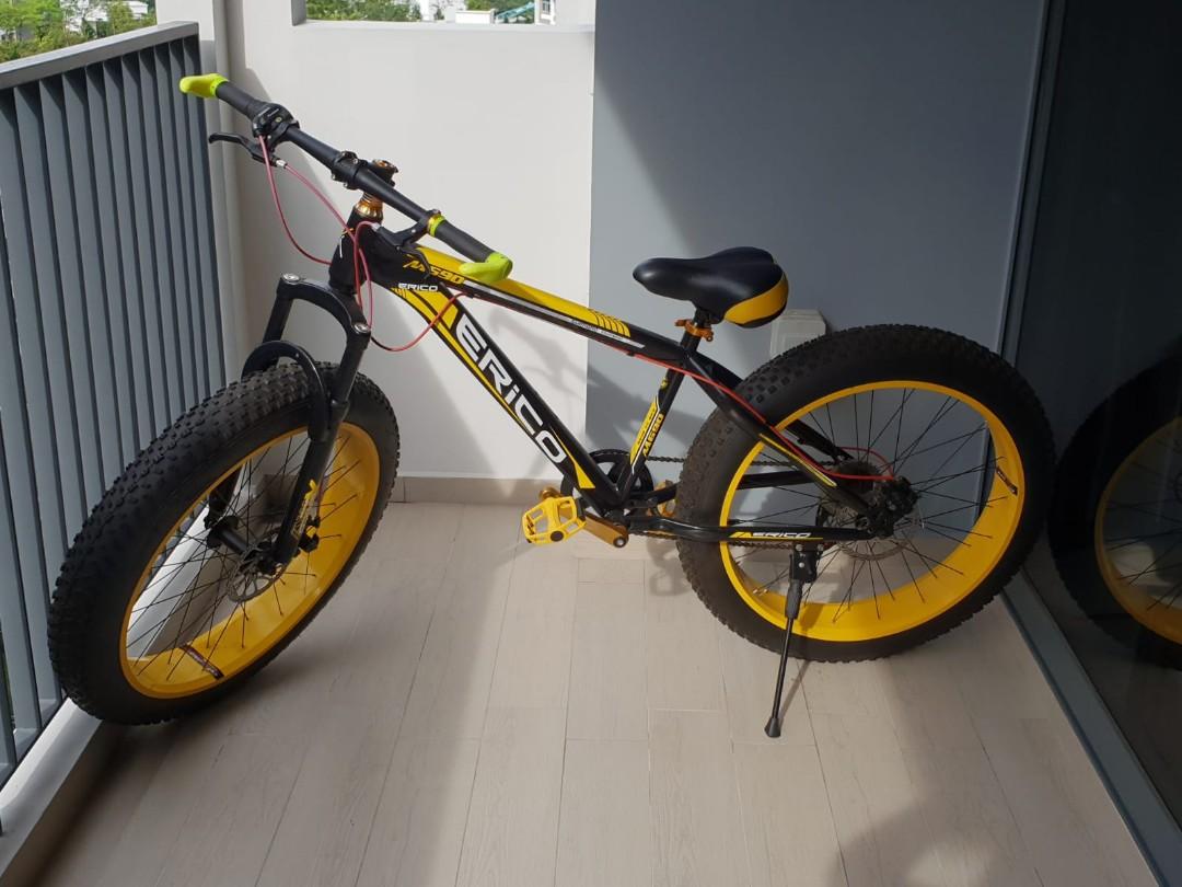 fat bike 28