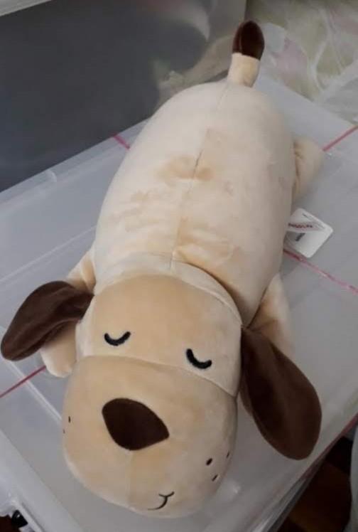 Miniso dog stuffed toy price deals