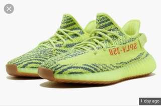 Yeezy Frozen