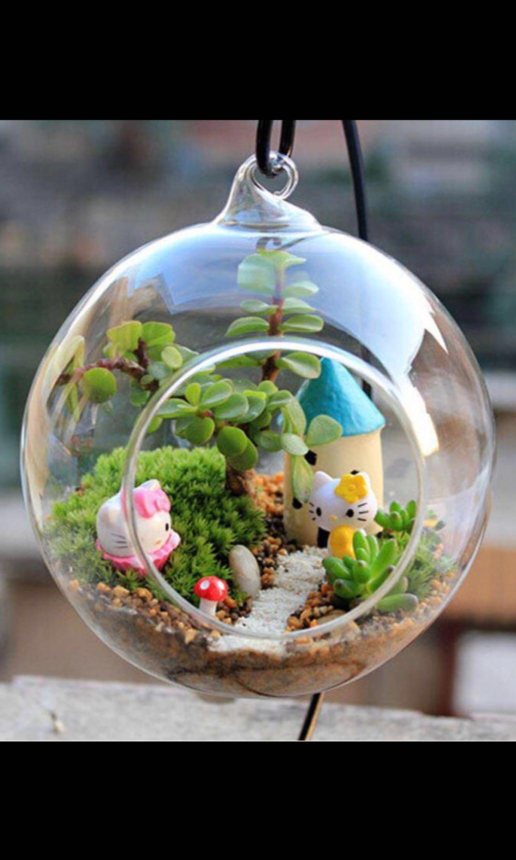 Ball Globe Shape Clear Hanging Glass Vase Flower Plants Terrarium