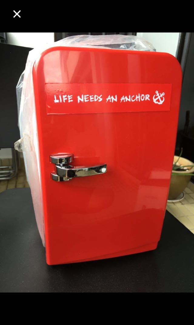 Mobile Mini Travel Fridge (Fridge Master FM 05), TV & Home Appliances