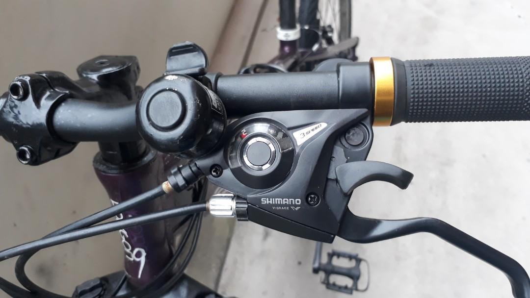 polygon cleo 2.0 2019