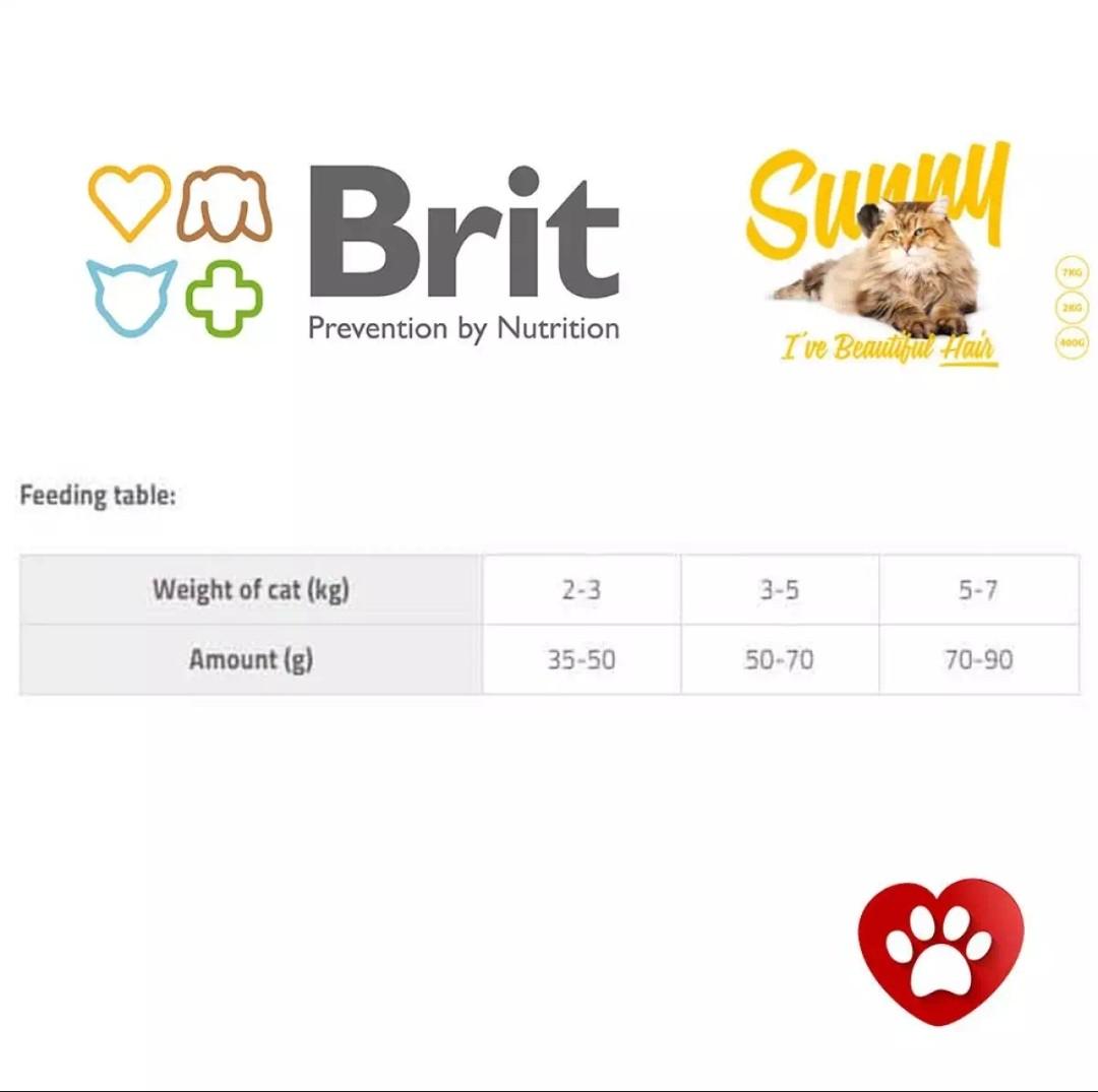 Brit care cat sunny beautiful sales hair