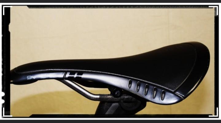 fizik kurve bull saddle