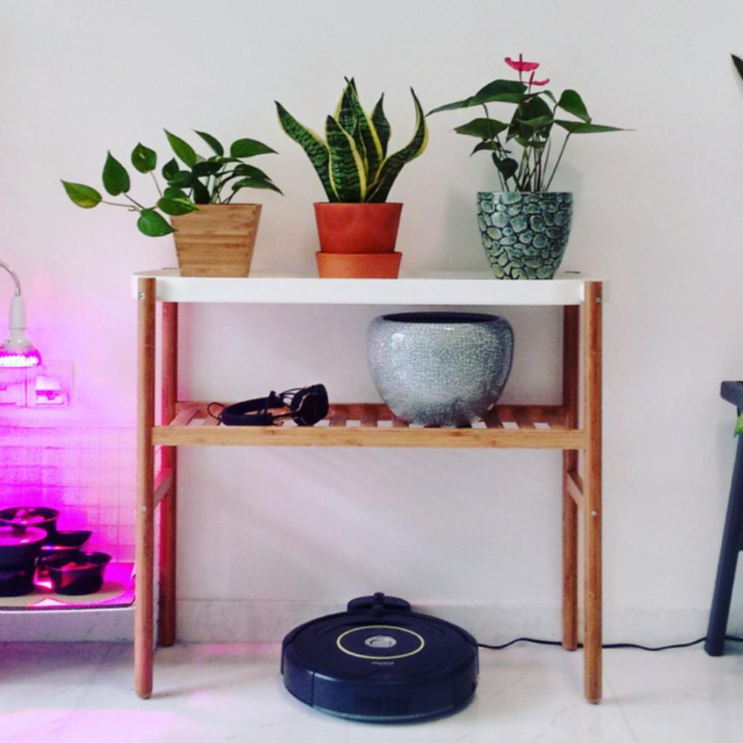 Ikea Satsumas Plant Stand Furniture Shelves Drawers On Carousell