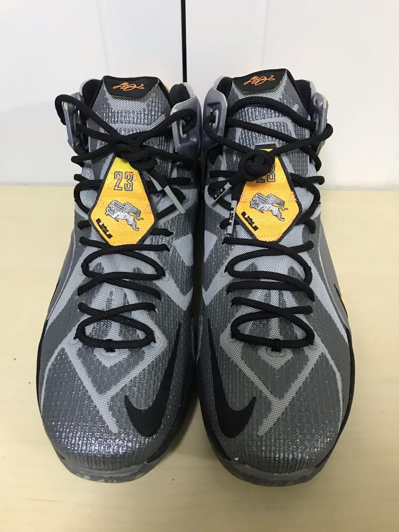 lebron 12 flight