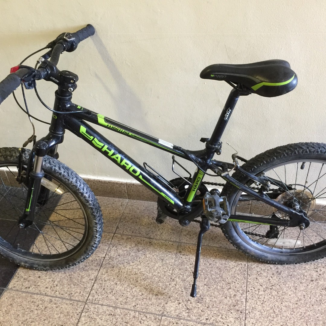 mens haro mountain bike