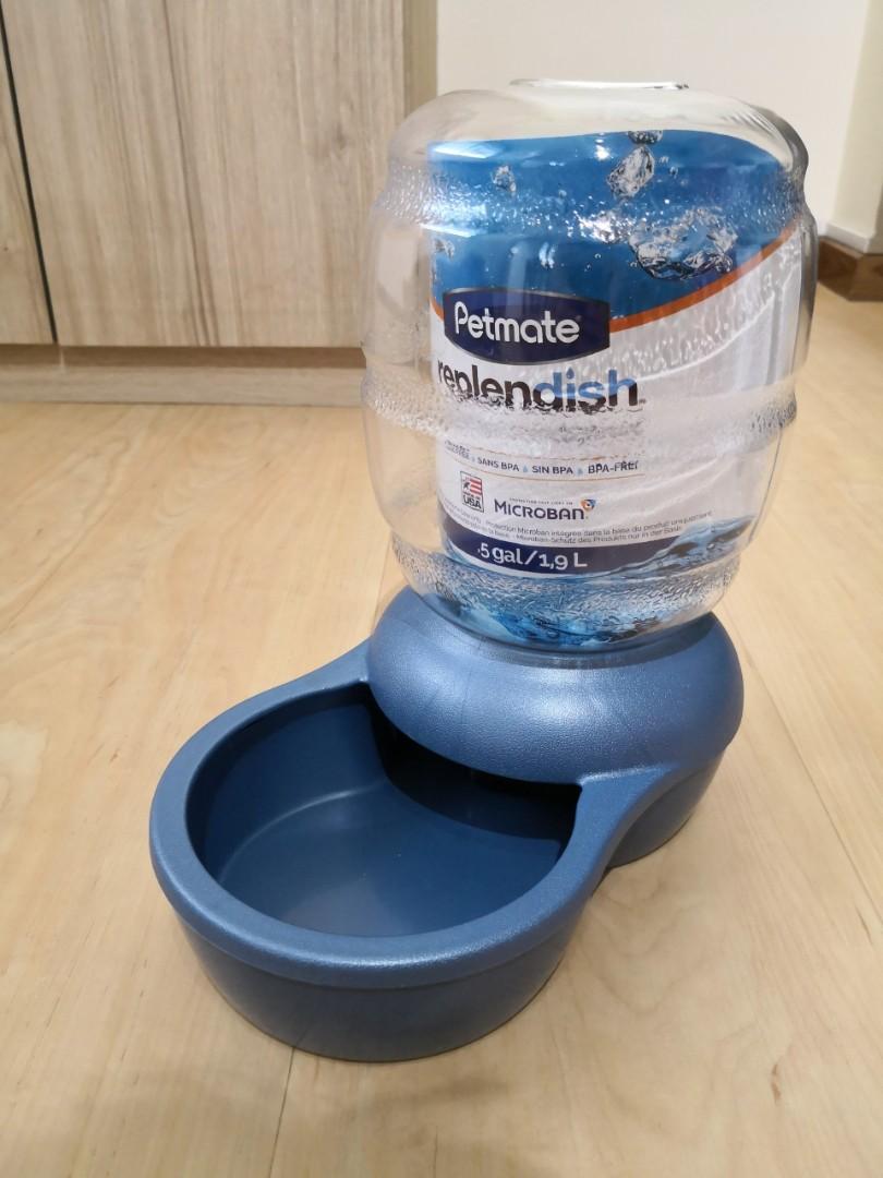 Petmate Water bowl feeder, Pet Supplies, Homes & Other Pet Accessories