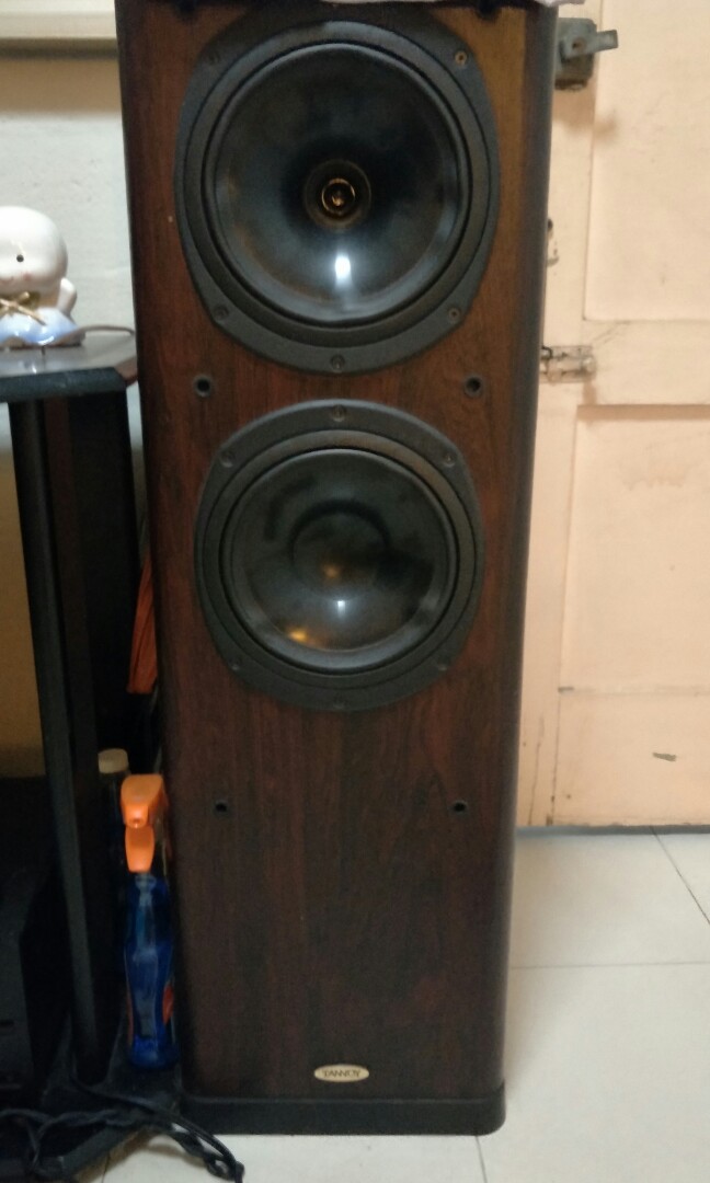 tannoy floor speakers