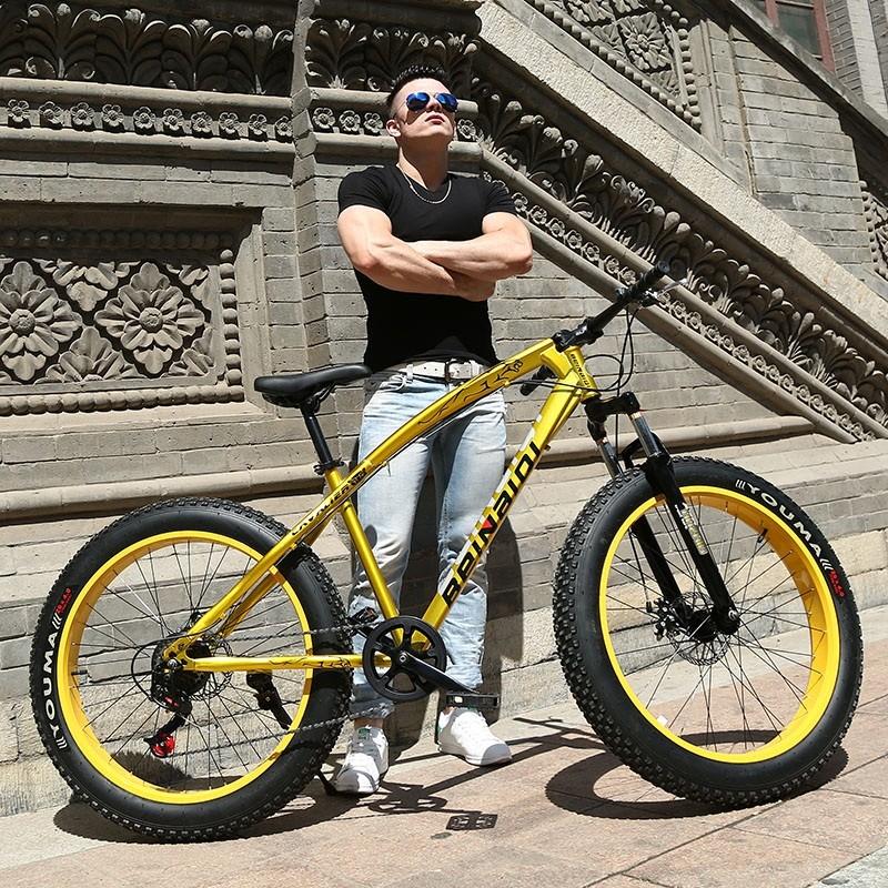 fat bike lock