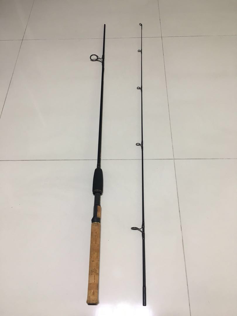Berkley Lightning Rod Pro Series Fishing Rod, Sports Equipment, Fishing on  Carousell