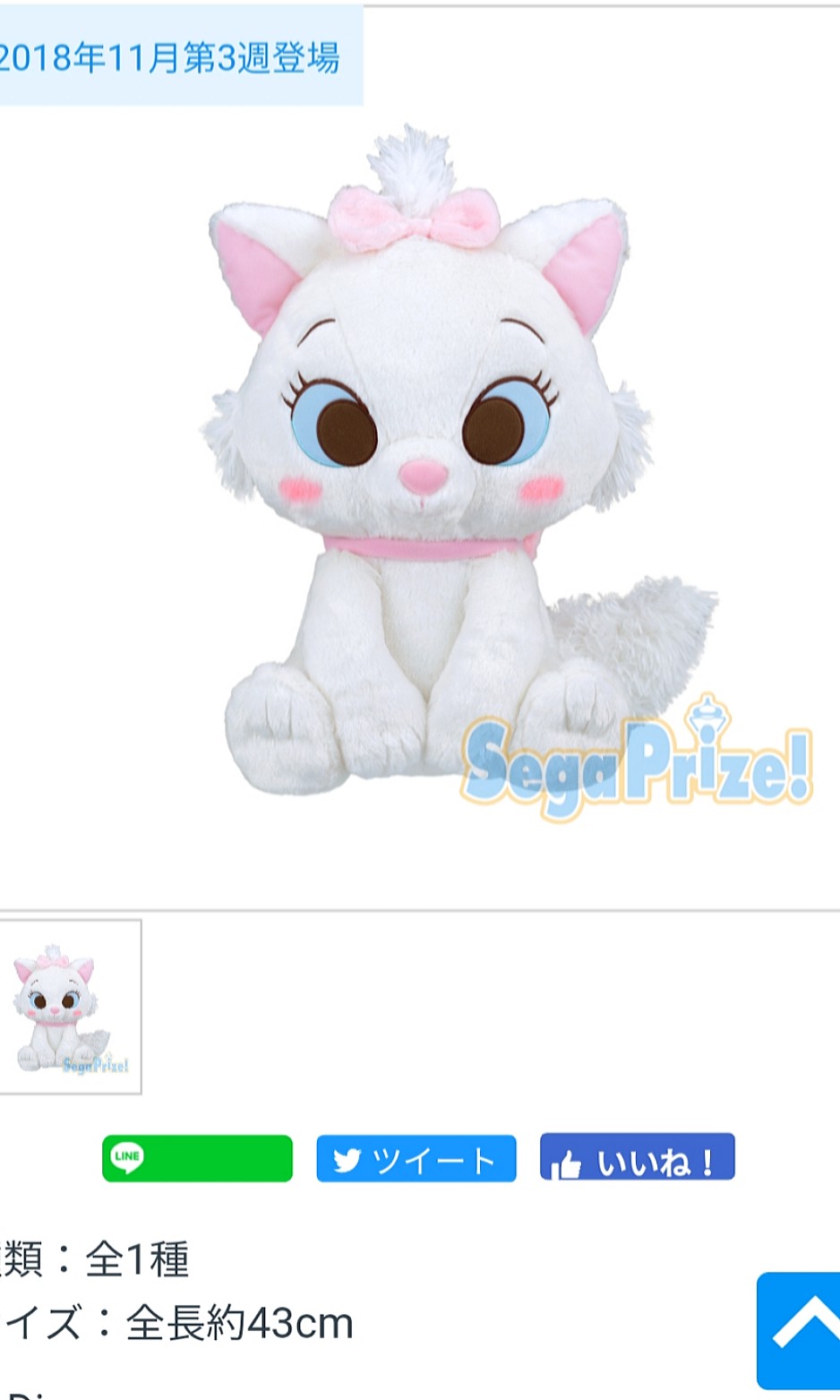 toreba cat