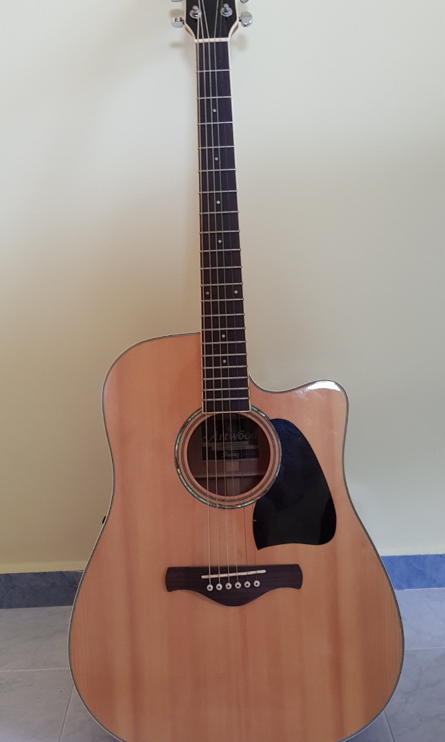 Ibanez aw300ece on sale