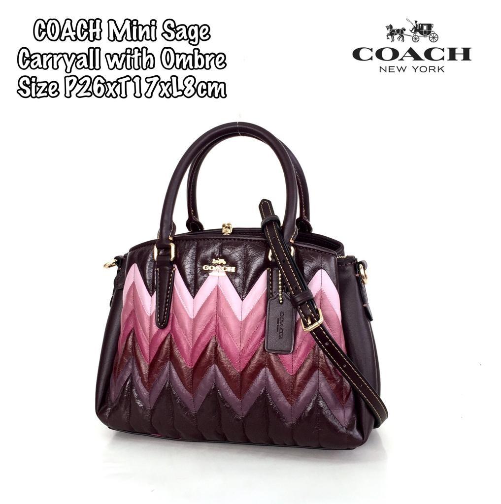 Coach mini sales sage carryall size