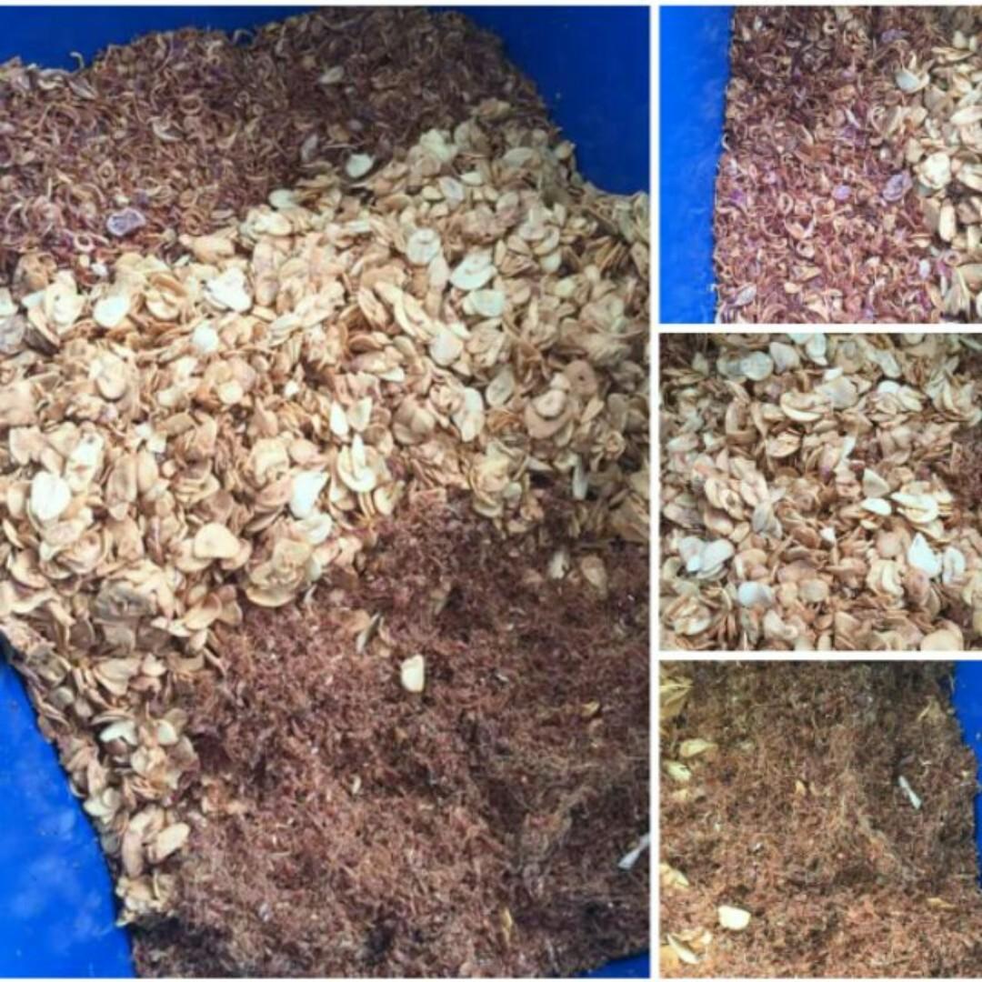 Snack Diet Ibu Berpantang Serunding Halia Bawang Putih Slice Bawang Rose Goreng Untuk Buang Angin Dalam Badan Food Drinks Packaged Snacks On Carousell