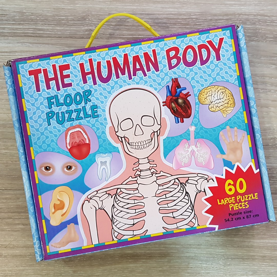 Human Body Giant Floor Puzzle 60 pieces Hobbies Toys Toys