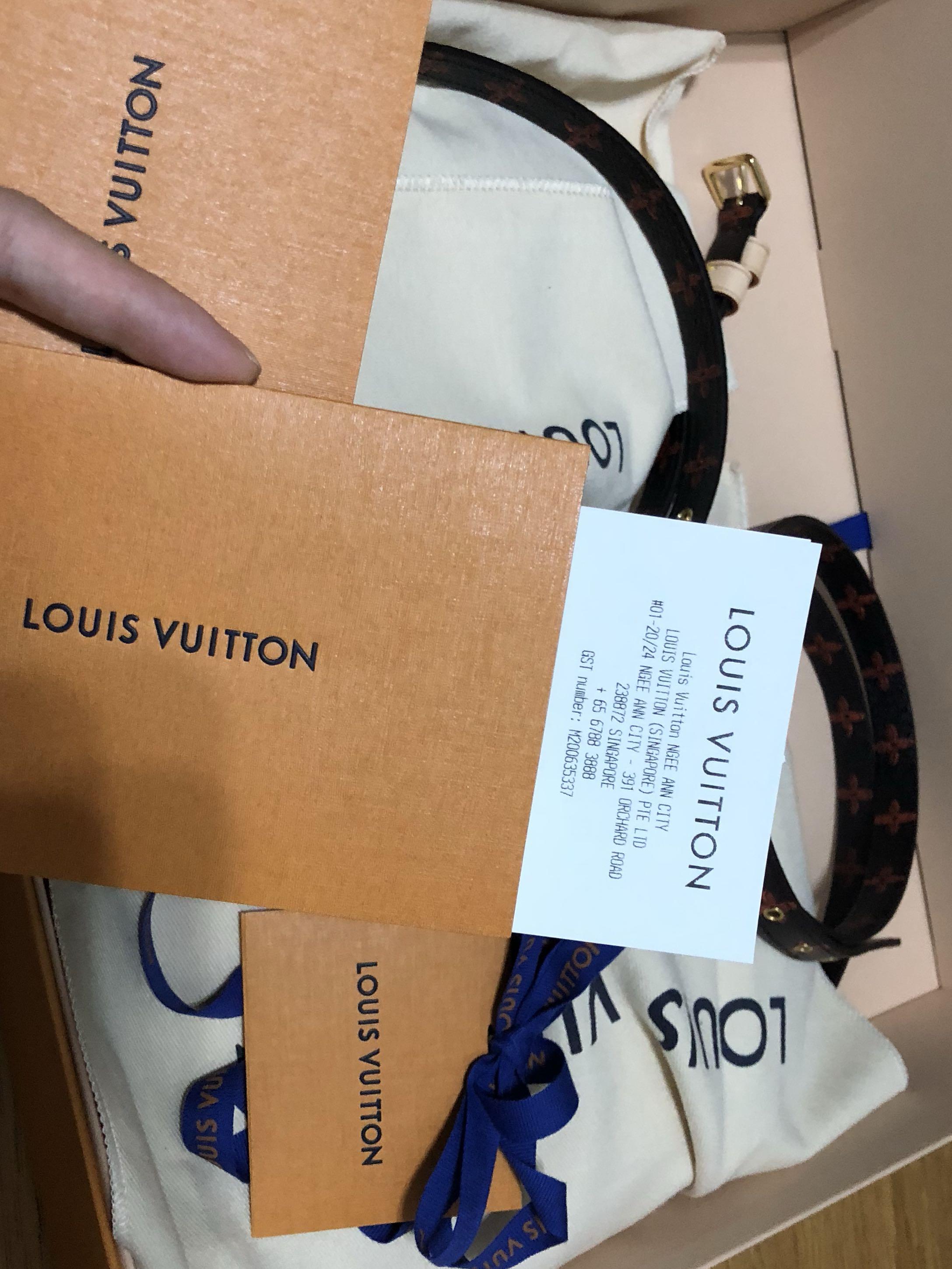 NEW Louis Vuitton Paname Set Catogram Bag sling, Luxury, Bags